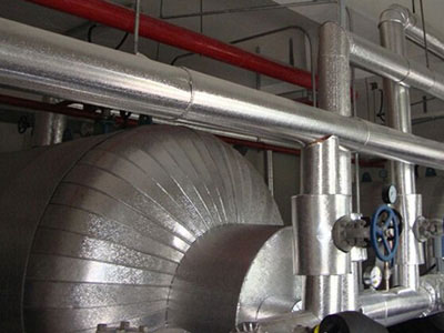 酒泉储罐保温 百年悬案告破：神秘植物“广东莲桂”的真身被找到了